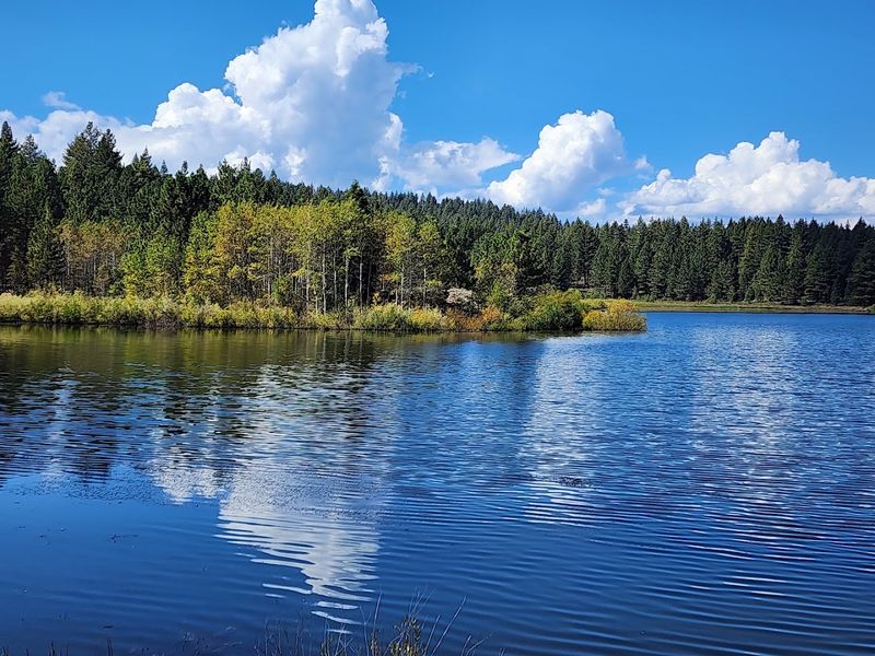 Spooner Lake State Park - Crowded
