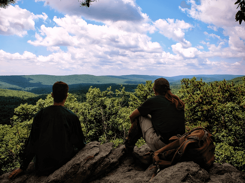 Michaux State Forest