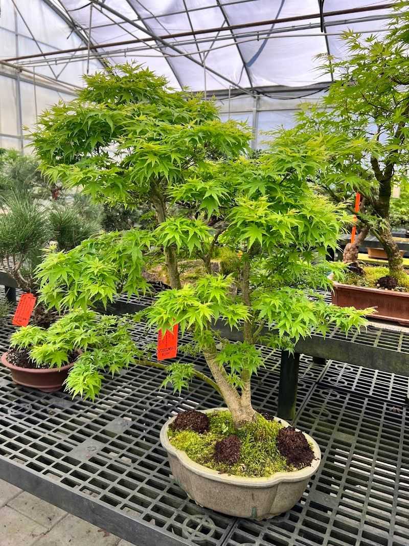 The Role Of Sustainability In Modern Greenhouses