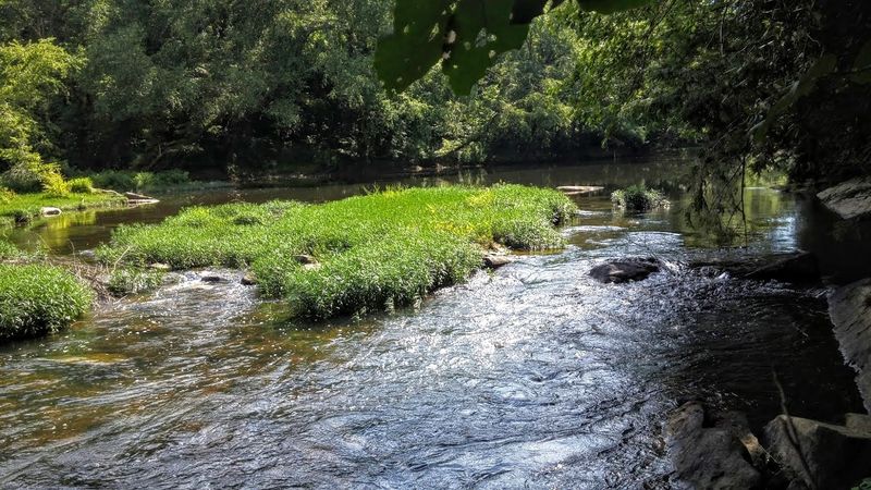 A Sanctuary Of Southern Appalachian Flora And Fauna