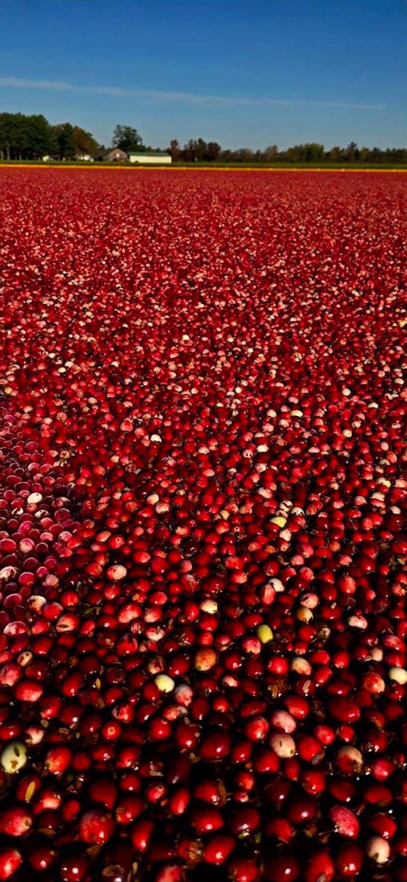 The Role Of Water Management In Harvesting