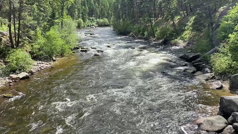 Techniques To Catch Trout Successfully