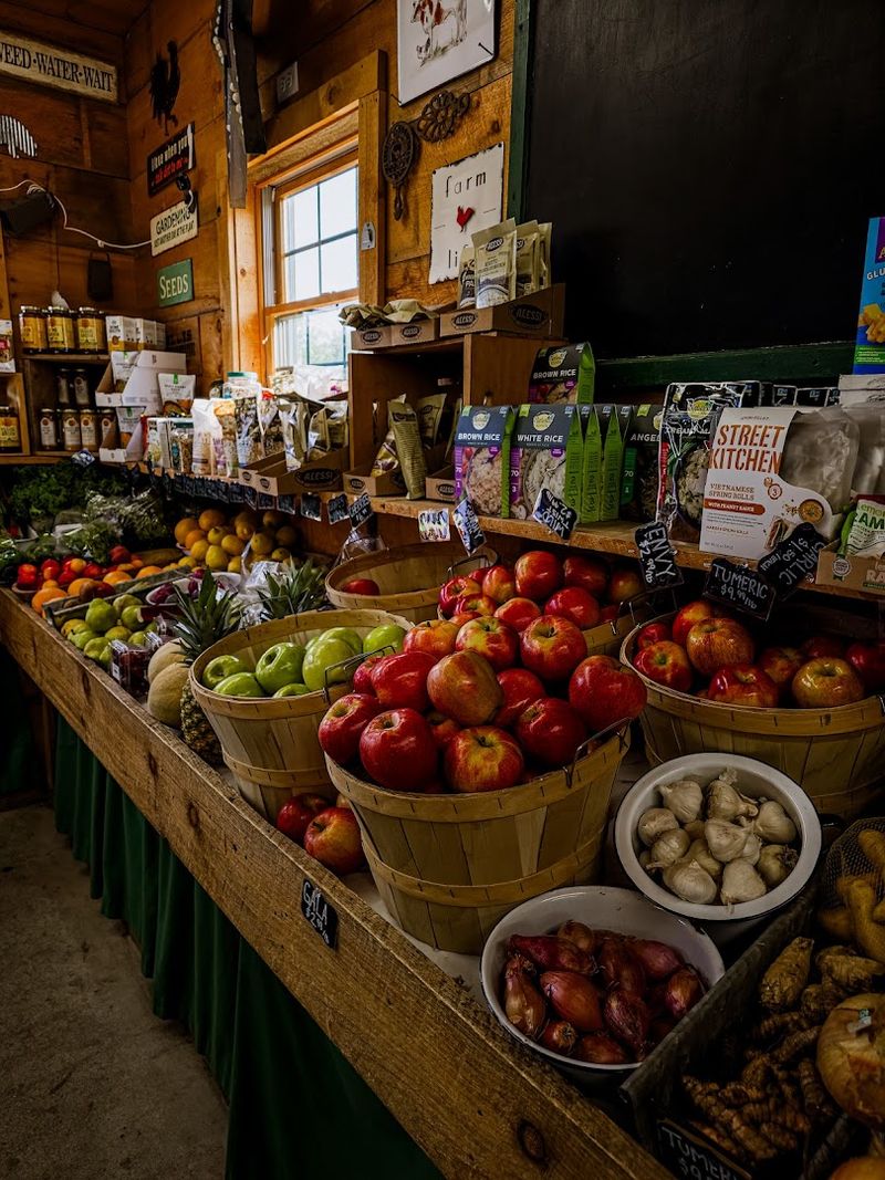The Farm Stand Turns This Sunny Stop Into A Fuller Day Out