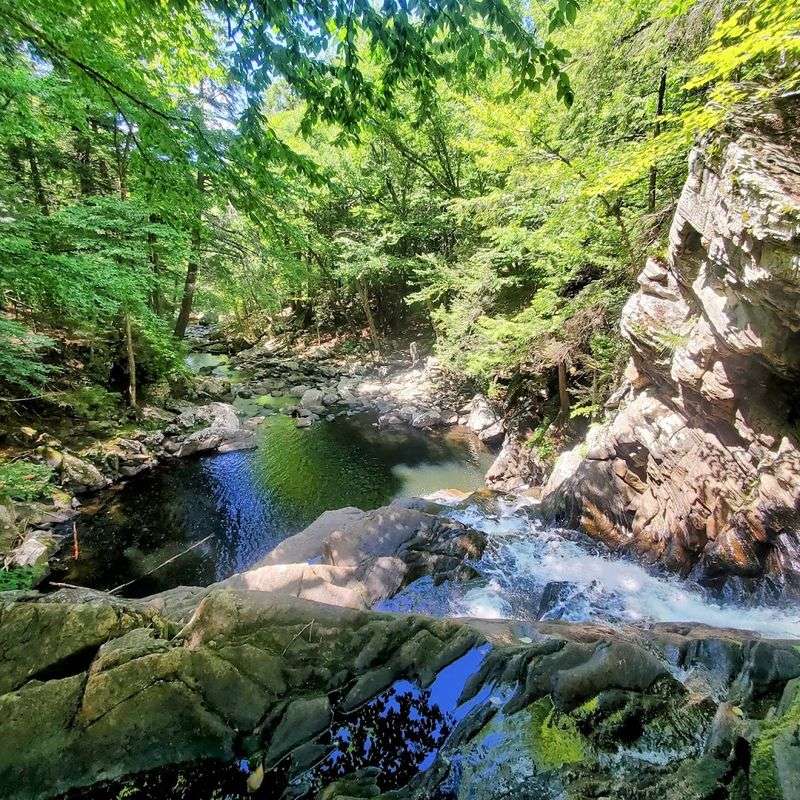 Natural Observation And Quiet Fishing Along The Brook