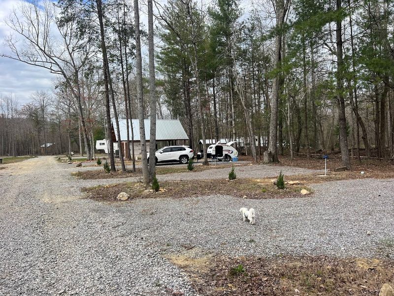 Why This Creek Keeps Drawing People Back