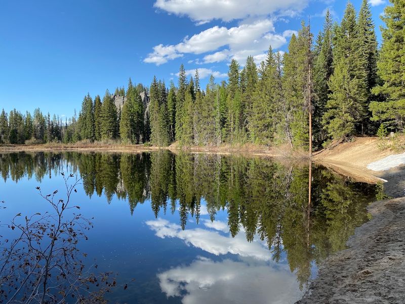 Ponderosa State Park Steals the Show