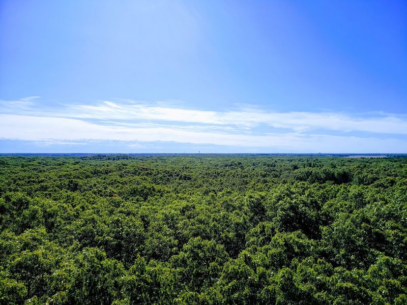 Eighty Eight Natural Lakes Help Keep The River Cool And Clean