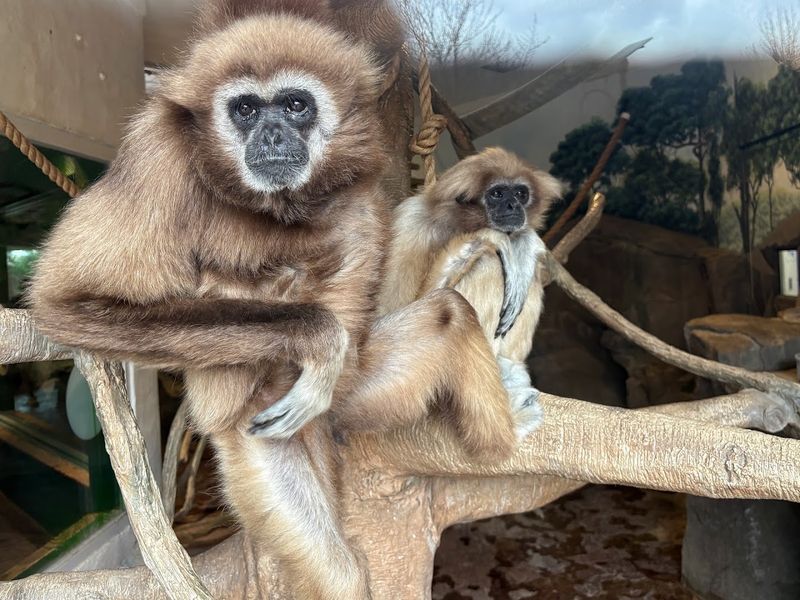 Why This Zoo Belongs On Your Wisconsin Adventure List