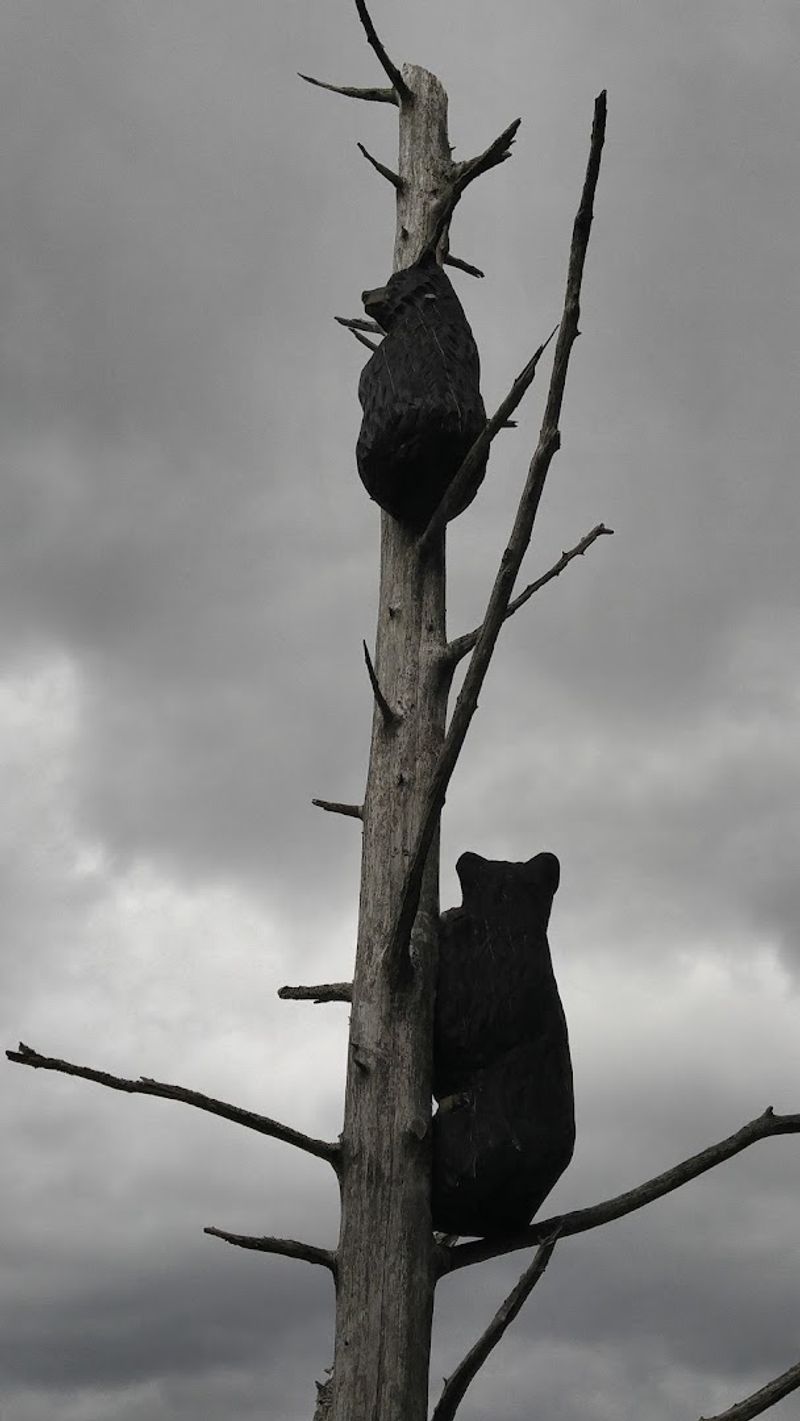 Appalachian Bear Rescue, Townsend