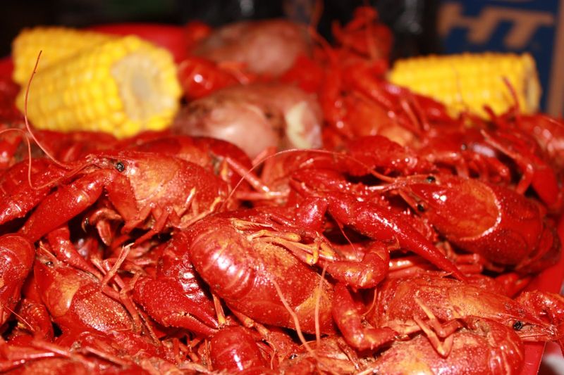 The History Of Crawfish Etouffee In Texas Cuisine