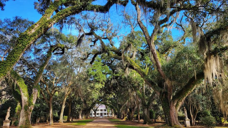 Historic Architecture And Preservation