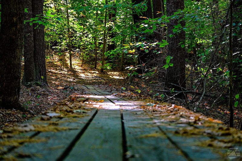 Trails For Every Pace