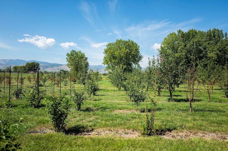 Understanding Organic Farming Practices