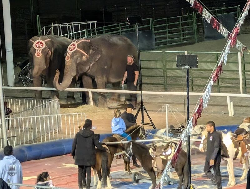 The Community Spirit At The Heart Of The Fair