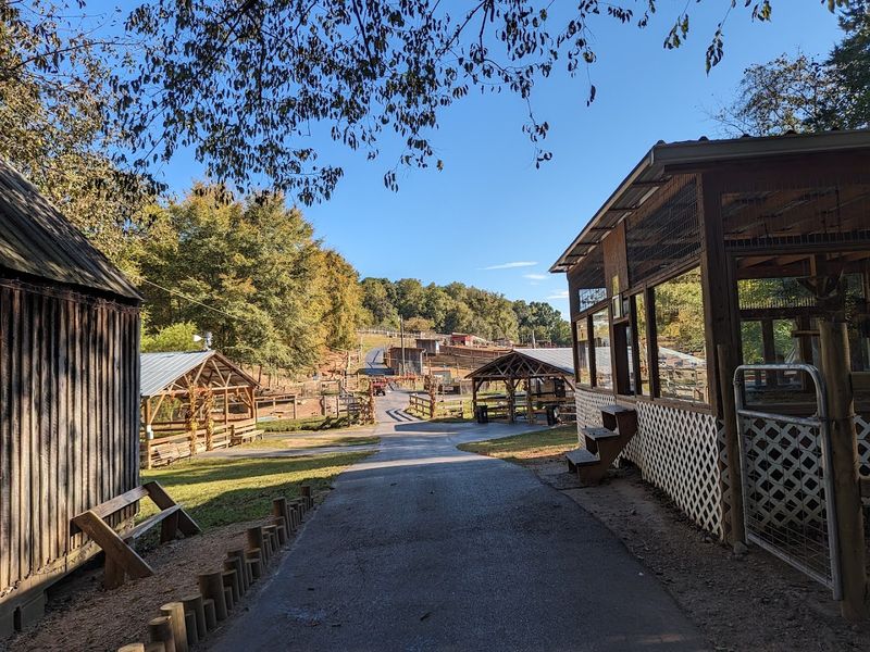 Little Ponderosa Zoo And Rescue, Clinton