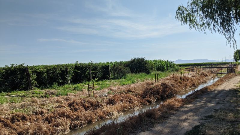 What Makes This Farm Feel Like The Real Deal