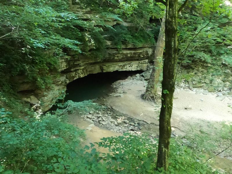 Mammoth Cave National Park (Kentucky)