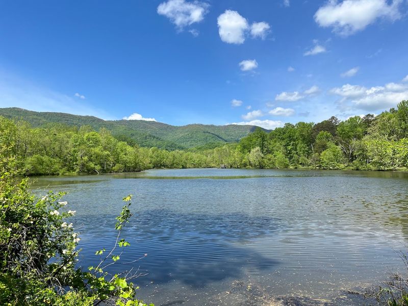 Cove Lake State Park, Caryville