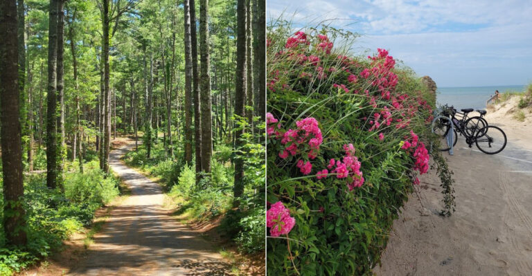 Families Keep Returning To This Gorgeous Massachusetts State Park And Its Scenic Trails