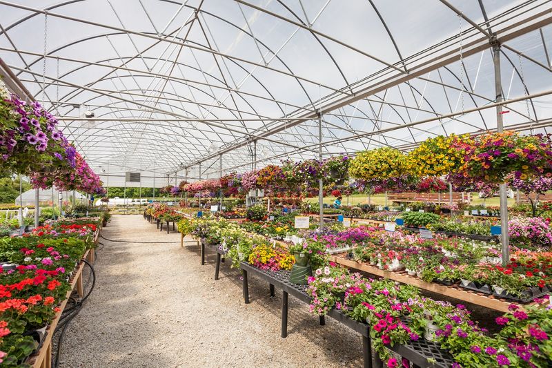 Educational Programs About Fruit Growing