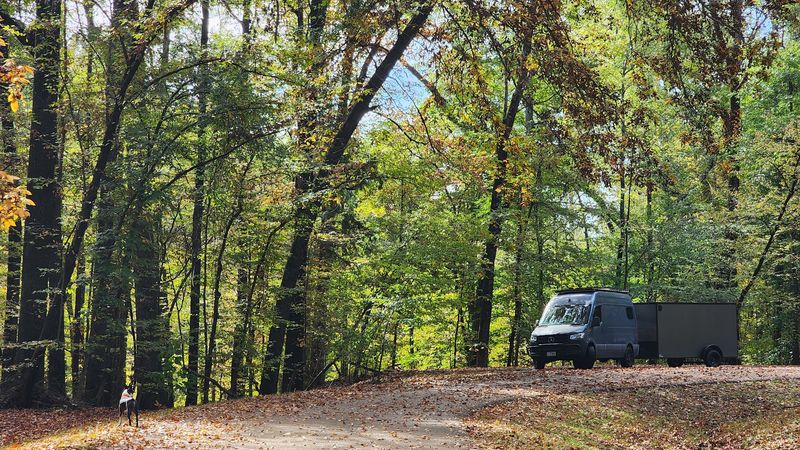 What Steamboats Did To Save A Trail
