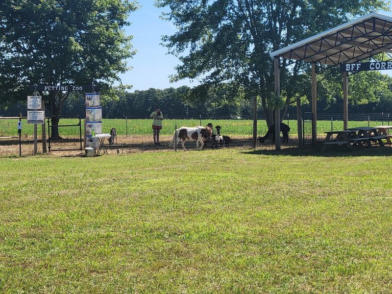 Educational Farm Experience