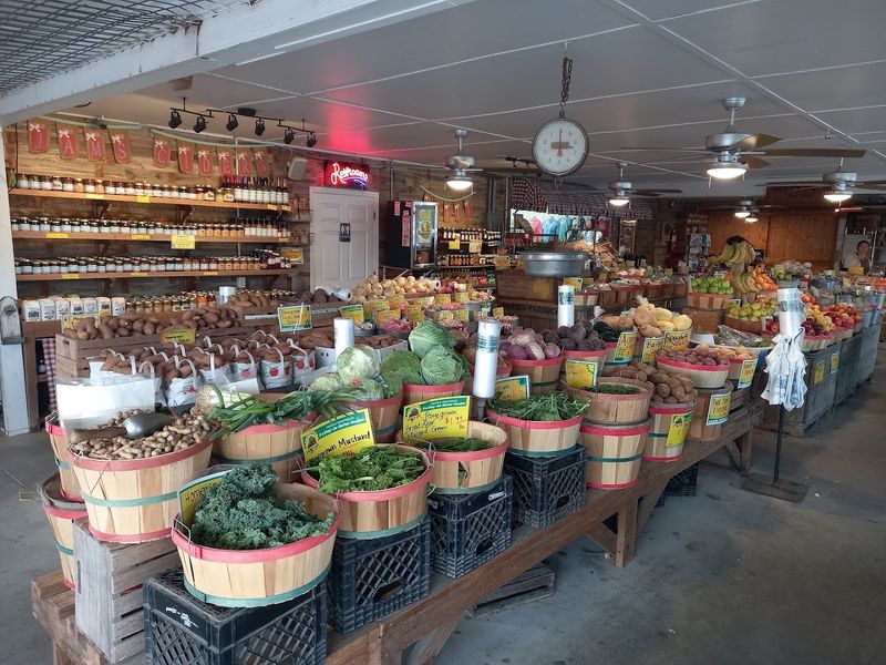 Sustainability Practices For Farming