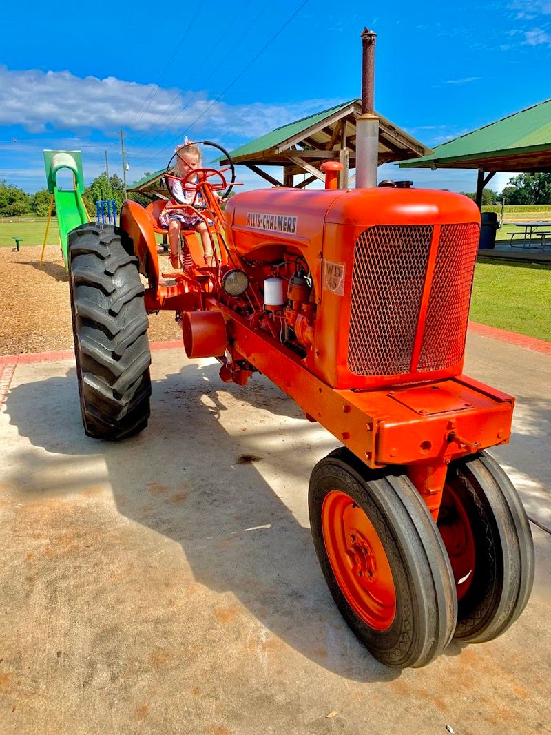 Supporting Local Georgia Farmers