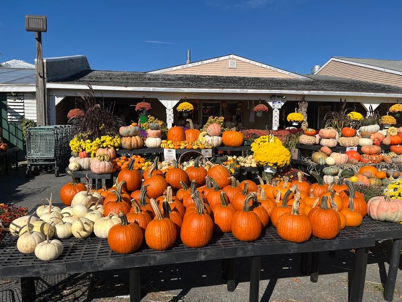 George's Market And Cafe