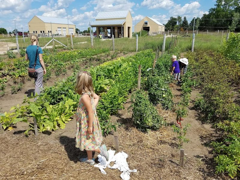 Educational Programs For All Ages