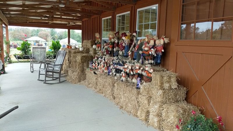 Outdoor Spaces Designed For All Ages