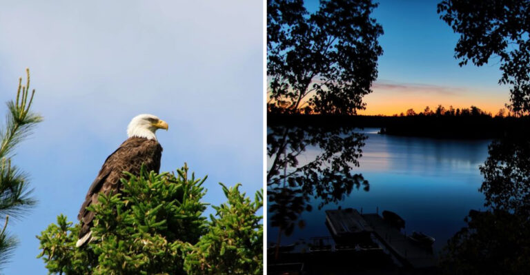 Few Crowds Ever Reach This Quiet Minnesota Lake Where Summer Fishing Is Unbeatable