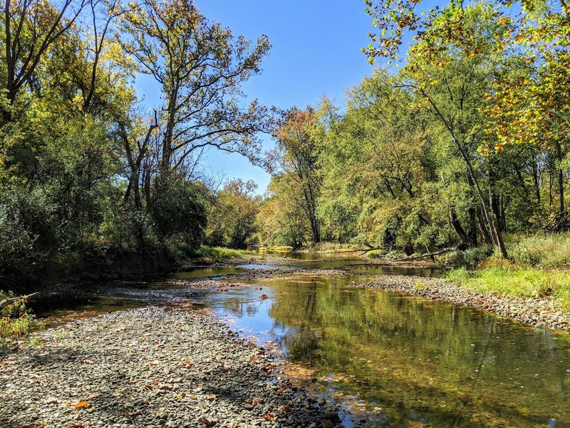 The Creek That Earned Its Stripes