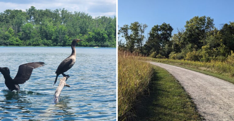 Few Rivers In Ohio Feel As Peaceful As This Hidden Stretch Of Water