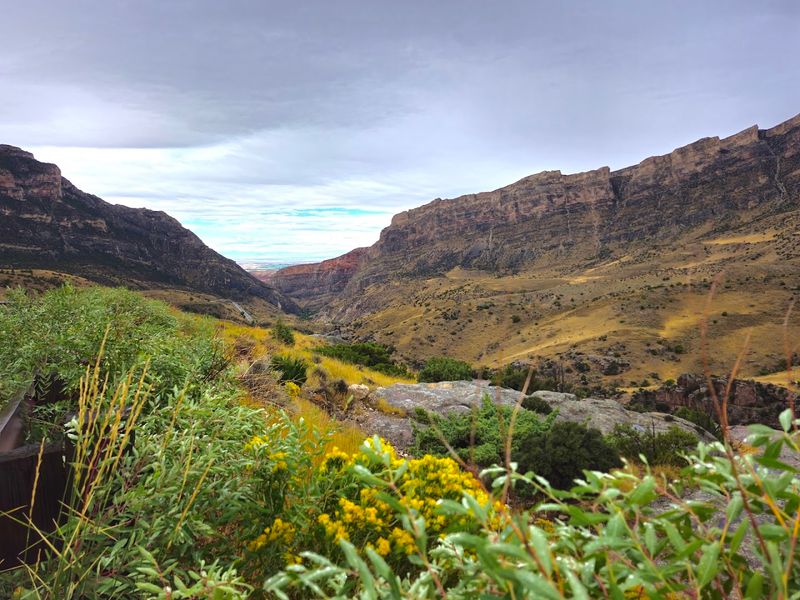 Bighorn Scenic Highway Pullout