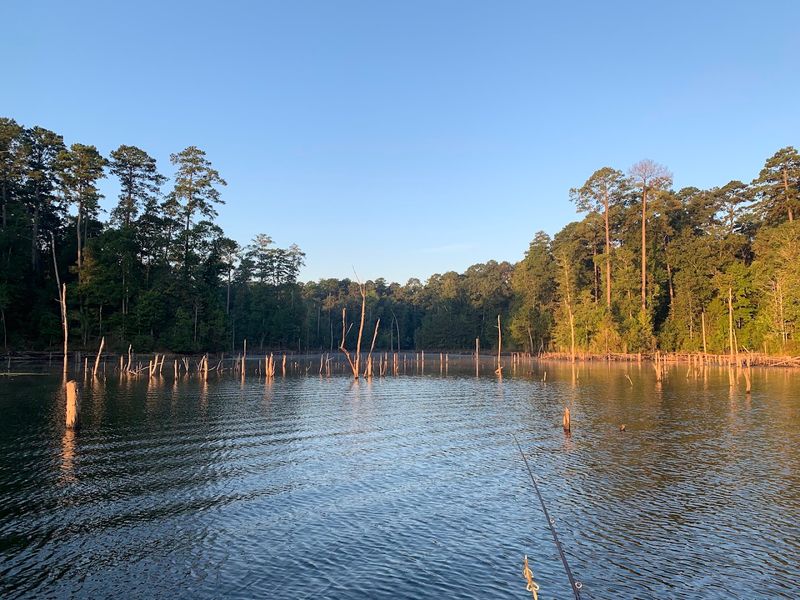 Seasonal Weather Patterns Impacting Activities