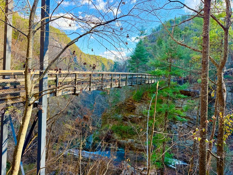 What the Chattahoochee National Forest Offers Beyond the Trailhead