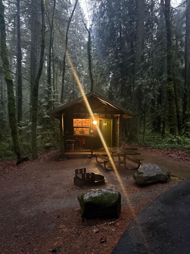 Camping Where The Forest Meets The Crater