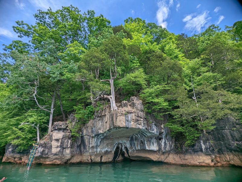 Water Sports That Keep Everyone Moving