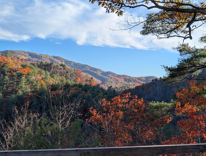 You Can Wake Up To Blue Ridge Mountain Views Without Leaving Bed