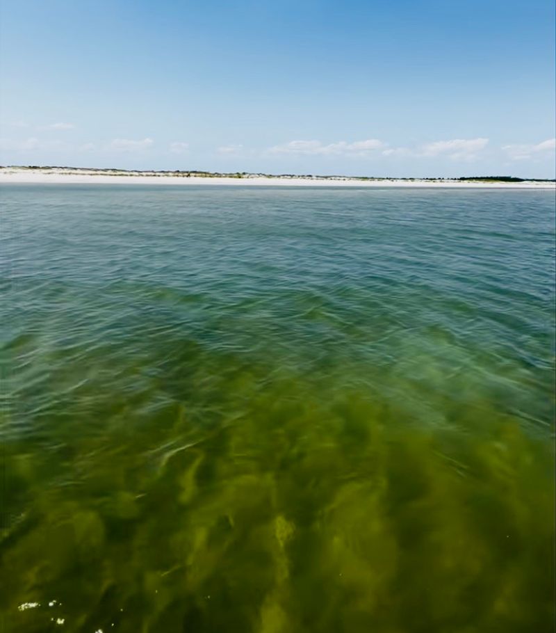 What The Water Holds