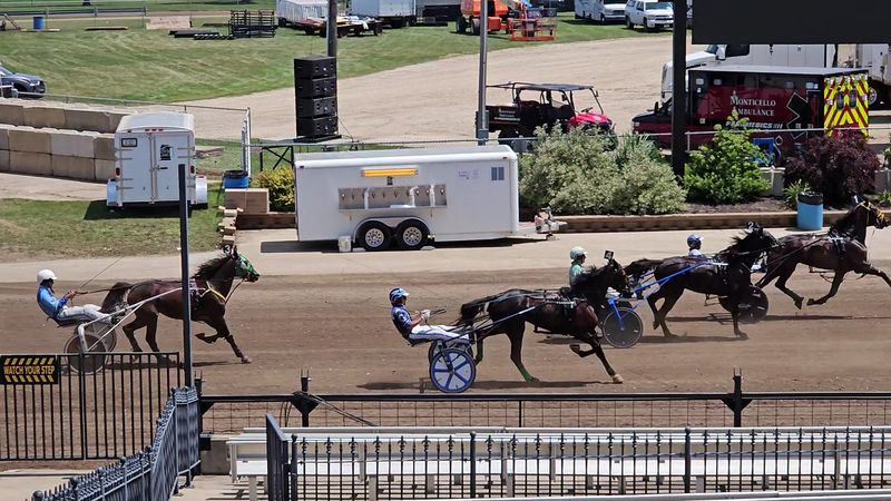 Agriculture Remains At The Heart Of The Fair