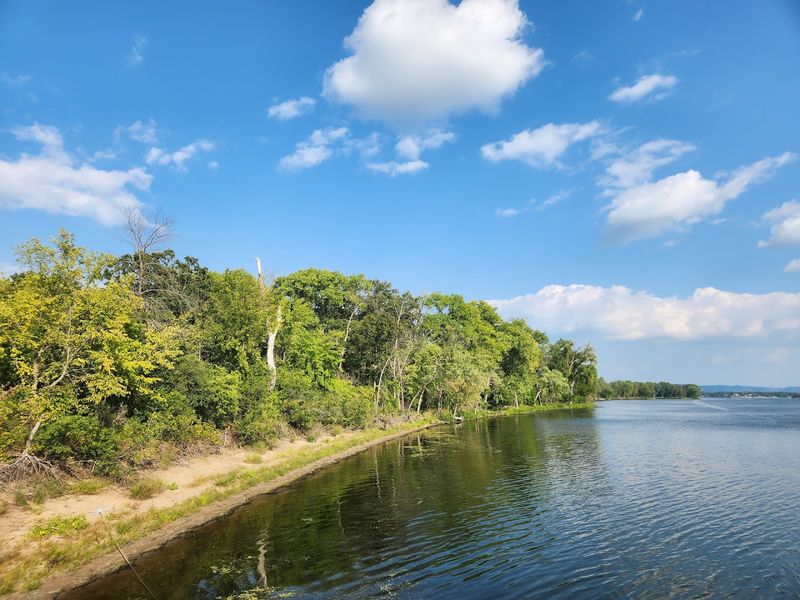 The Benefits Of Lakefront Privacy And Serenity