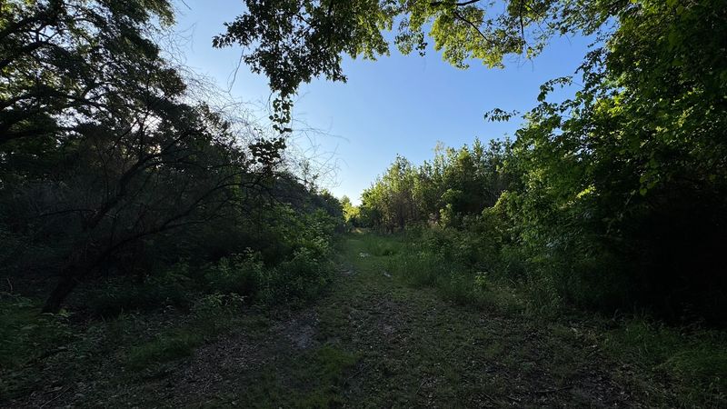Trail Hiking Tips For Safety And Comfort