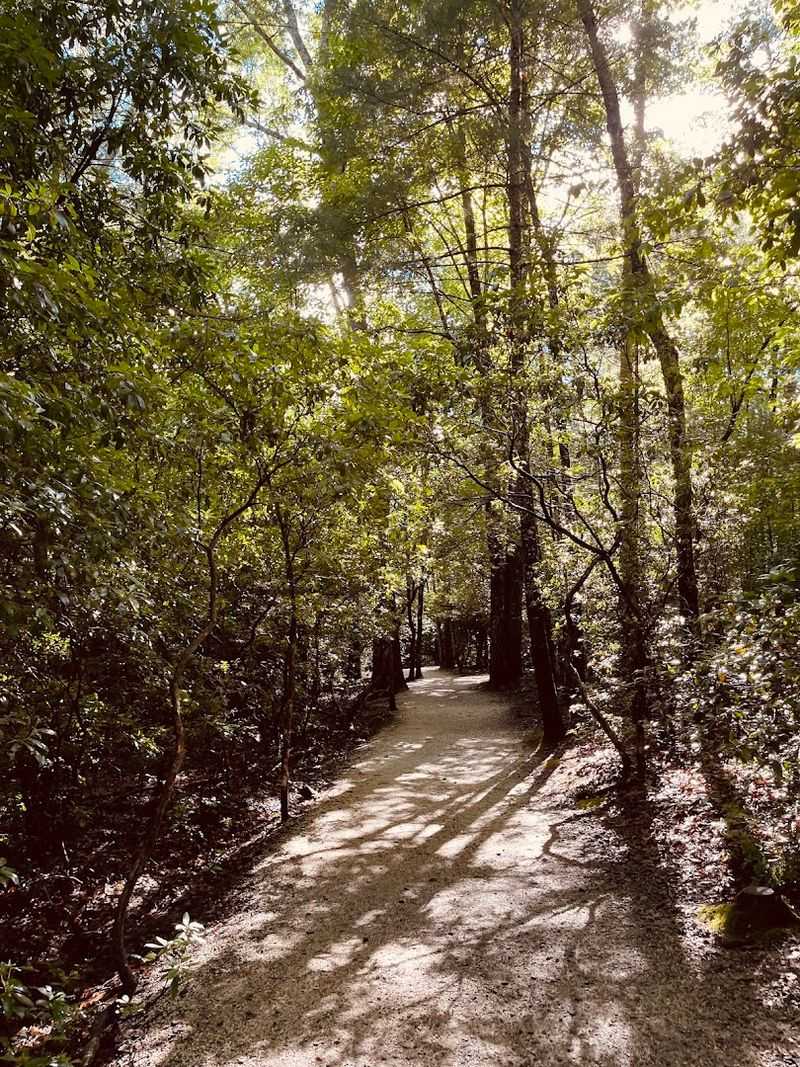 Trail Difficulty And Accessibility Options