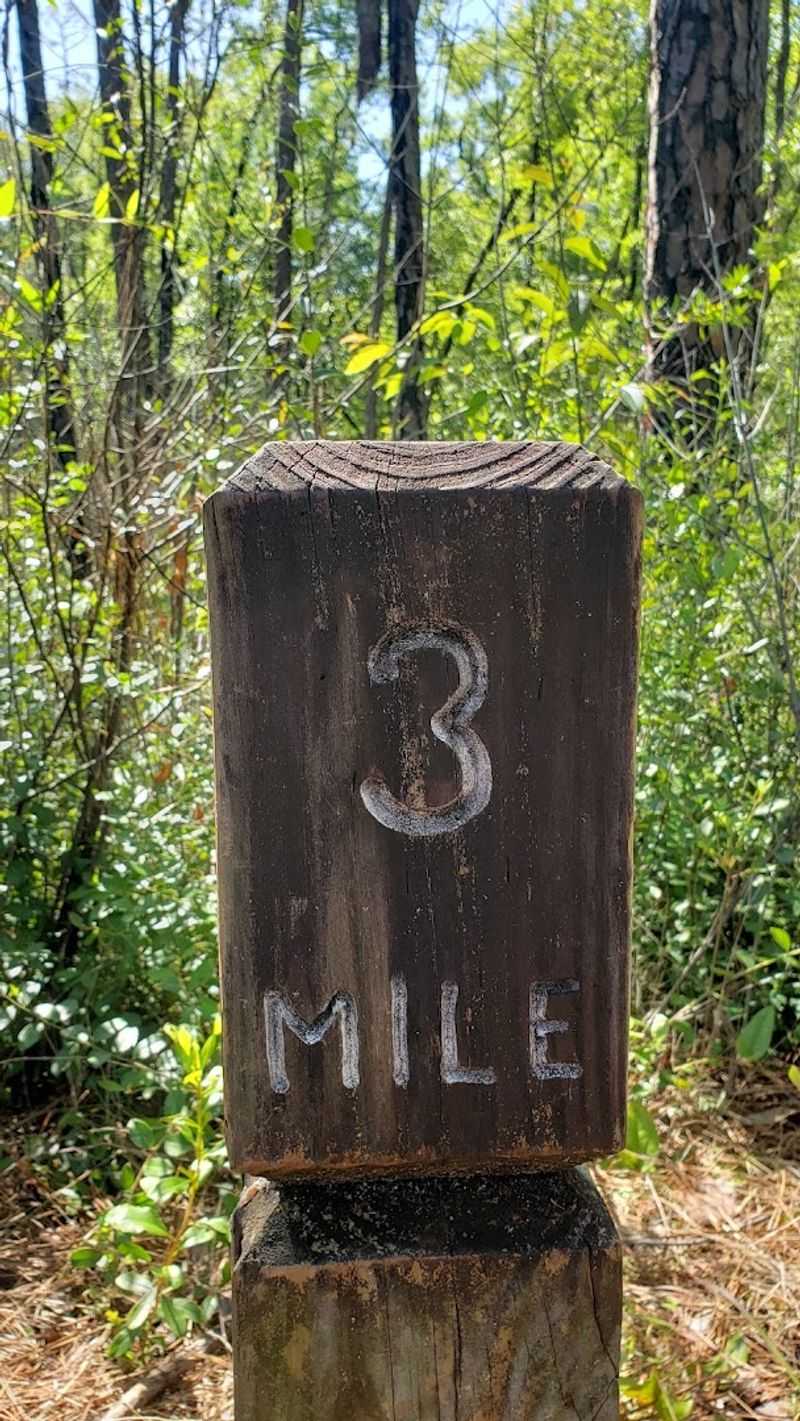Planning Your Trip To The Tuxachanie Trail