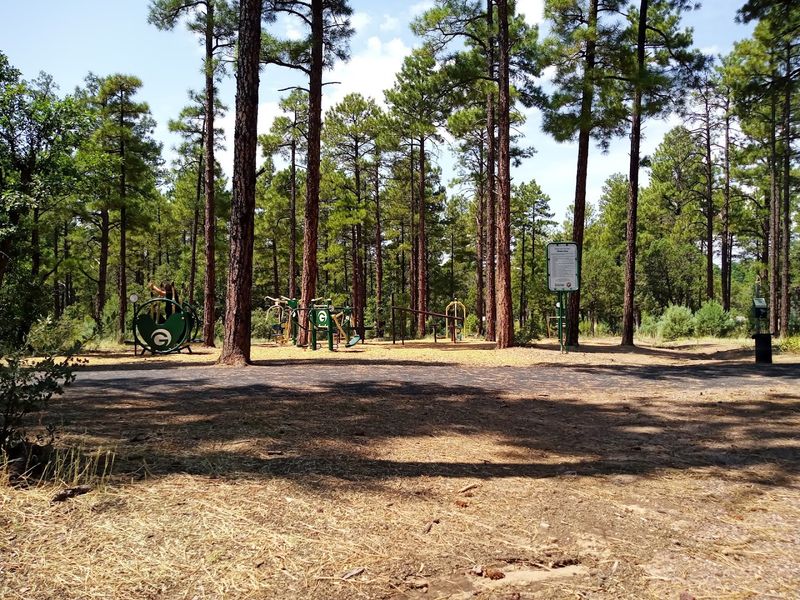 Walking Trails And Pickleball Courts Make Staying Active Easy