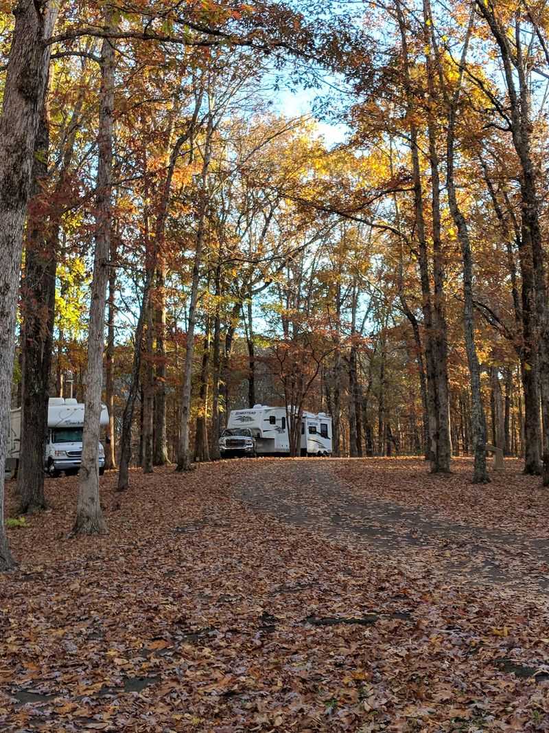 Meriwether Lewis Campground, Hohenwald