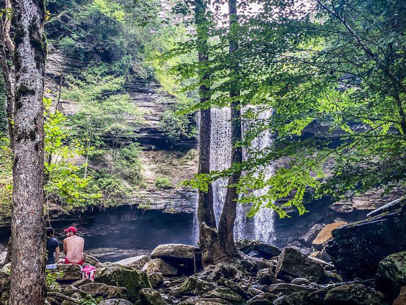 Savage Gulf State Park (Greeter Falls), Altamont