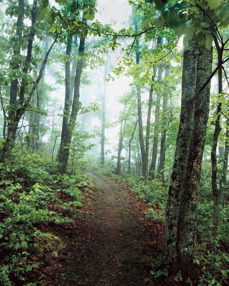 Trails for Every Energy Level